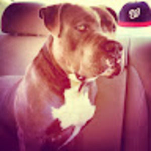 Meet your Posher, Mark